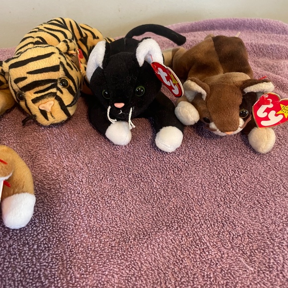 Beanie baby cats - Picture 2 of 4